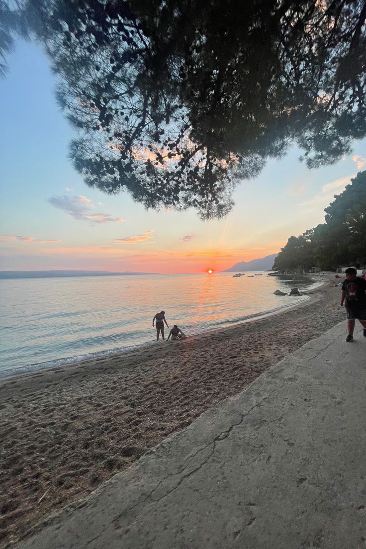 people walking on the beach at sunset with trees in the foreground and water in the background