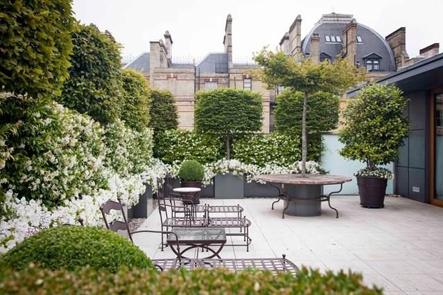 an outdoor patio with tables and chairs surrounded by greenery in front of a large building