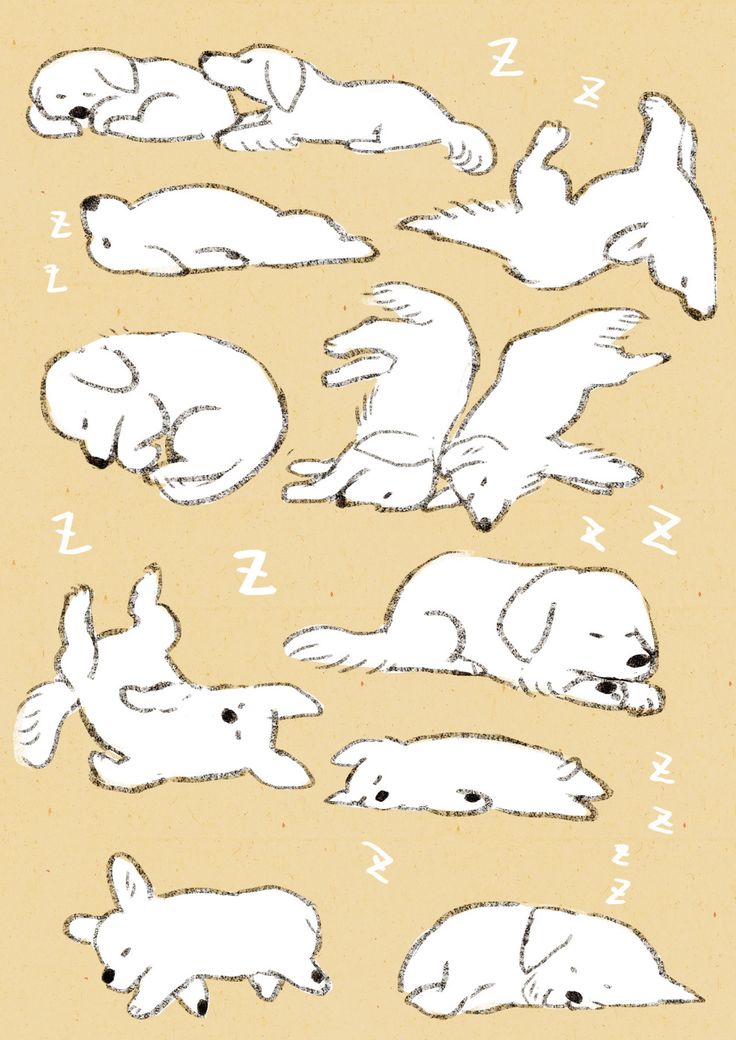 an illustrated drawing of dogs laying down and lying down with their heads turned to the side