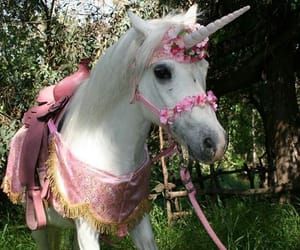 a white horse wearing a pink and gold dress