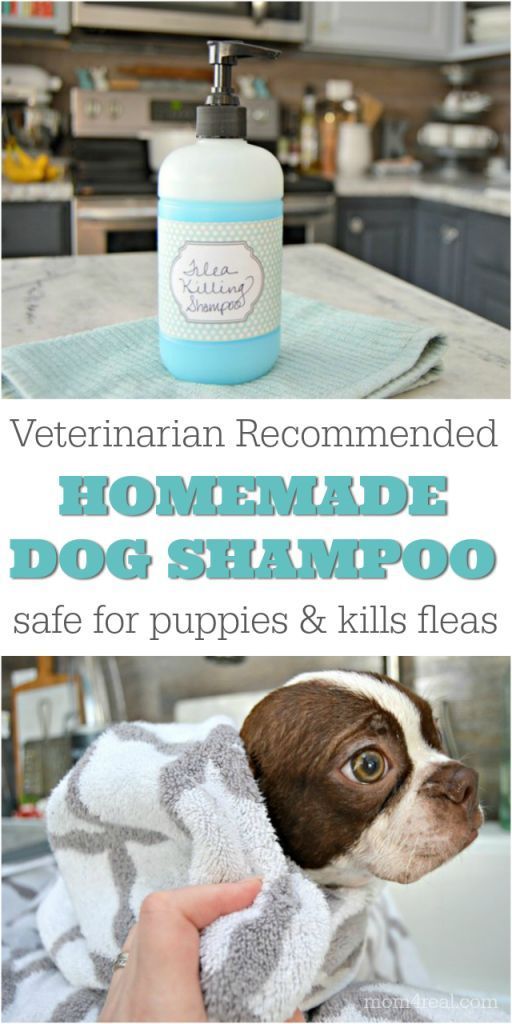 a dog that is under a towel with the caption homemade dog shampoo safe for puppies and kills fleas