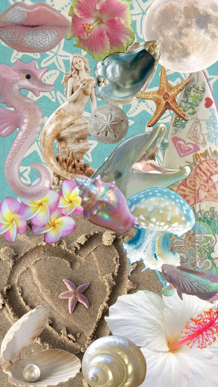 a collage of shells, seashells and flowers