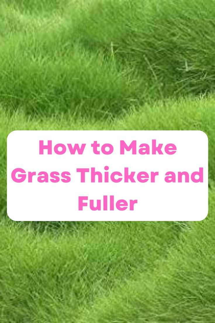 green grass with the words how to make grass thicker and filler on it