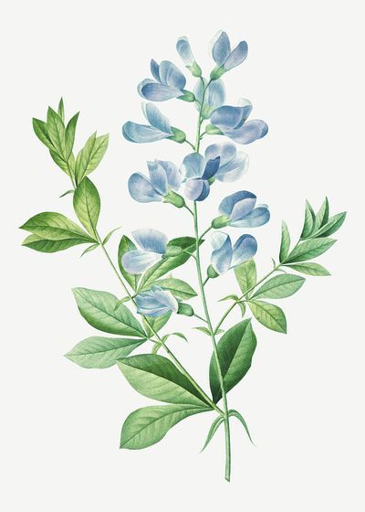 a painting of blue flowers with green leaves