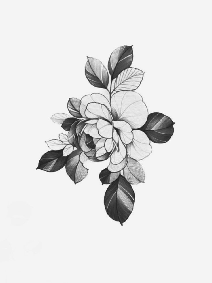 a black and white drawing of flowers with leaves on the bottom half of their petals