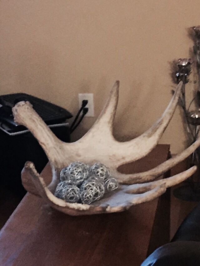 an antler with balls in it sitting on a table