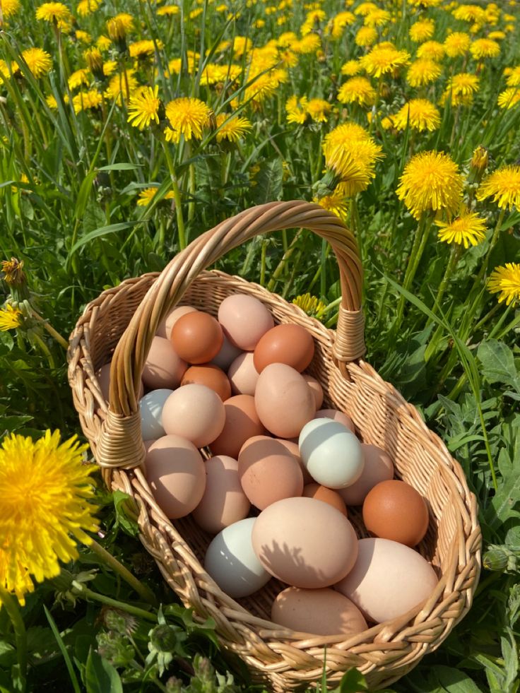 a basket full of eggs sitting in the grass next to dandelions and yellow flowers