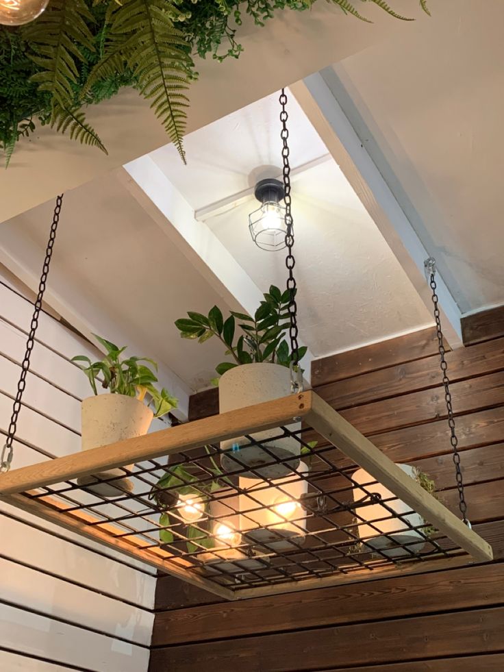 a potted plant is hanging from a suspended light fixture in a room with wood paneling