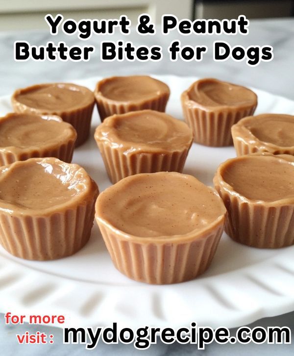 chocolate peanut butter bites on a white plate with text overlay that reads, yogurt & peanut butter bites for dogs