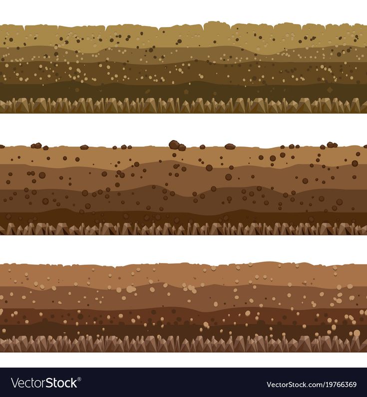 four different layers of soil and grass