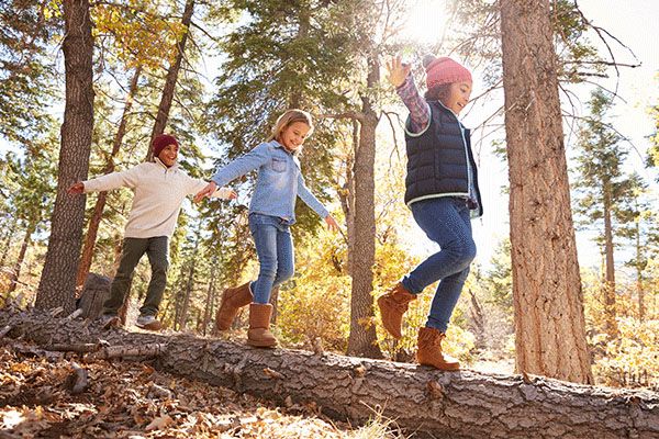 two people walking across a fallen tree in the woods with their hands up and arms out