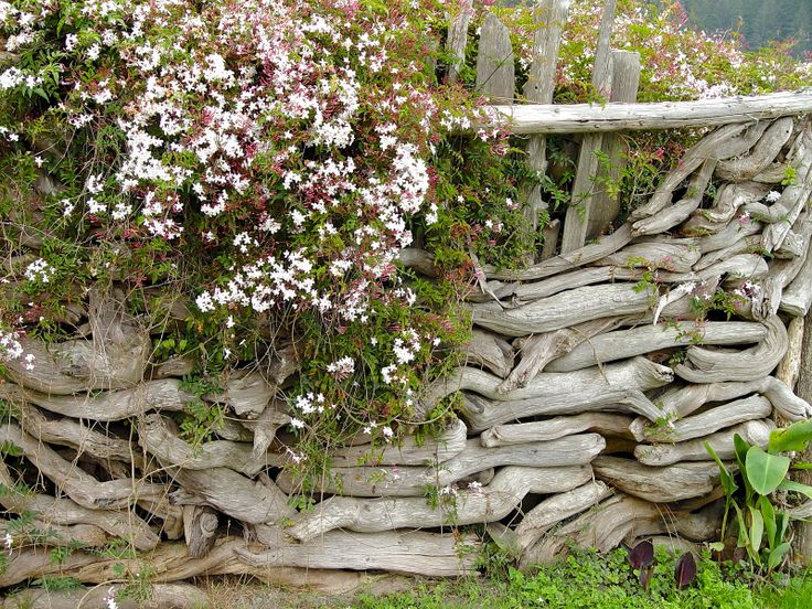 an old fence made out of driftwood with flowers growing on it