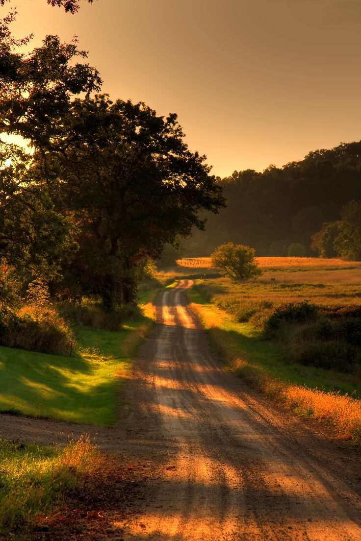 a dirt road with the words dear days that summer turned a corner into sun down that red dirt road