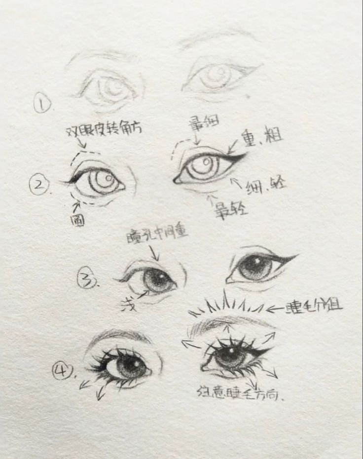 an image of various types of eyes with chinese writing on the bottom and upper corner