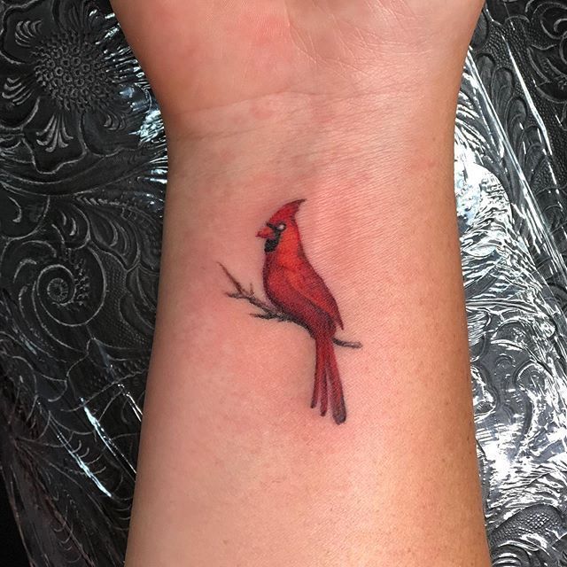 a red bird sitting on top of a tree branch