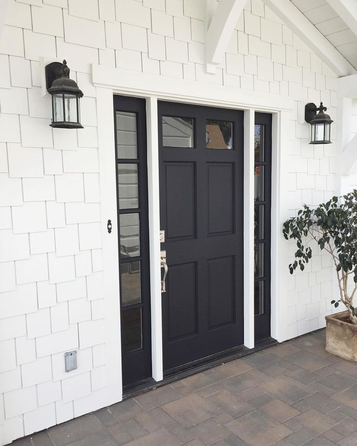 a black front door with two sidelights and a potted plant on the outside