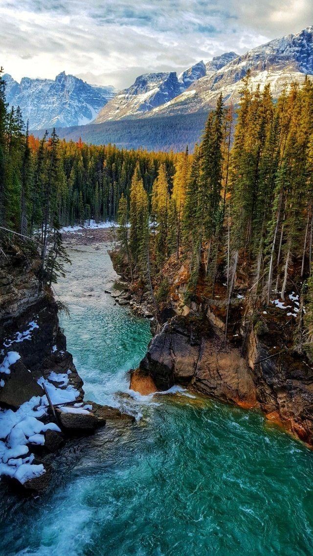 a river flowing through a lush green forest covered in snow and surrounded by tall pine trees