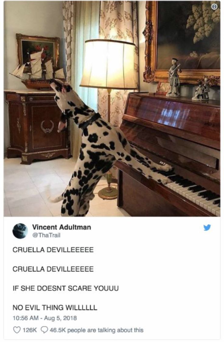 a dalmatian dog is playing on the piano