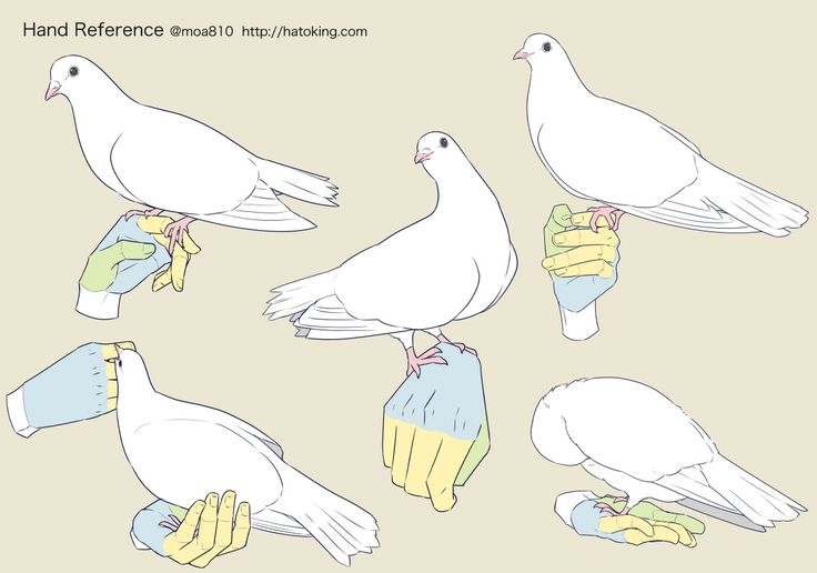 several white birds with gloves on their feet