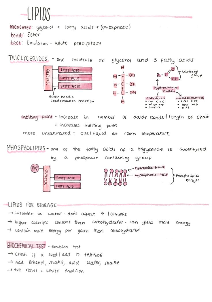 a white paper with pink writing on it that says lipids and other things in the background