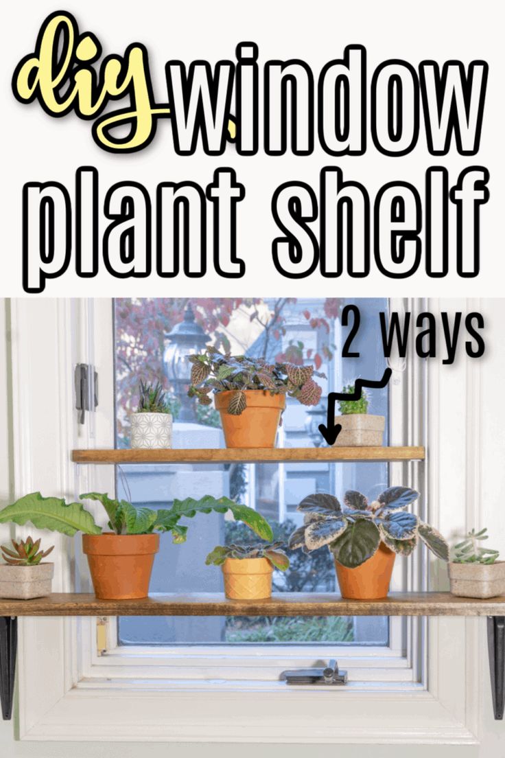 the diy window plant shelf has two plants on it