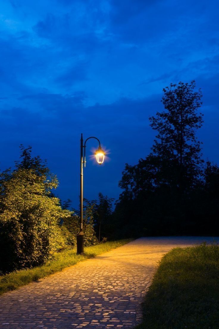 a street light sitting on the side of a road next to a lush green forest