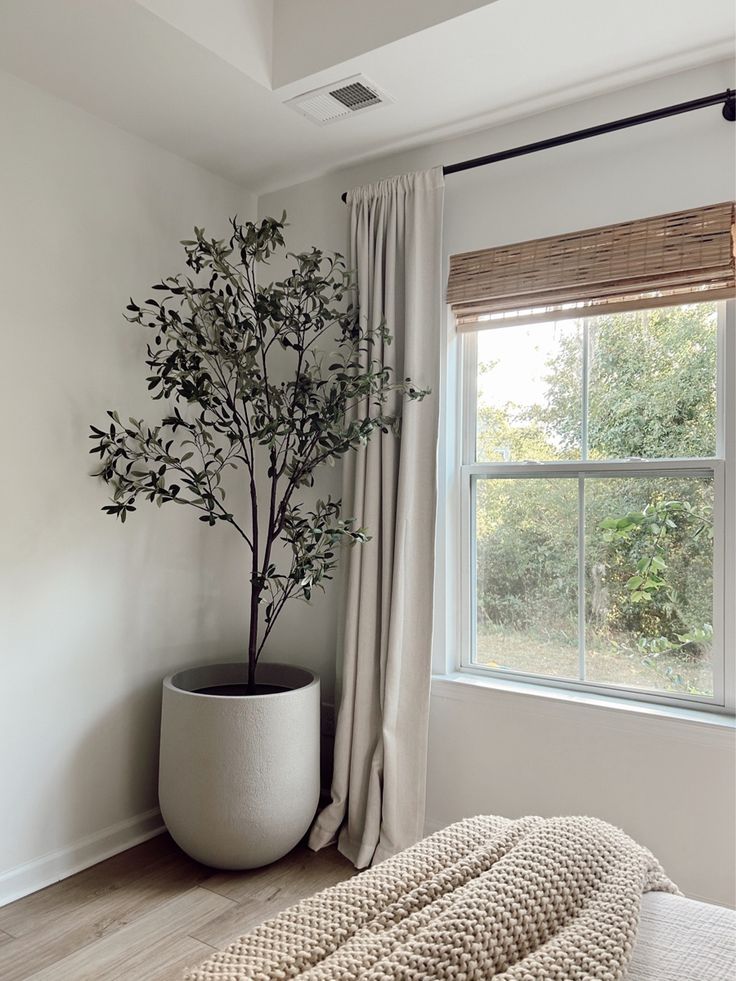 a plant in a white pot next to a window with drapes on the windowsill