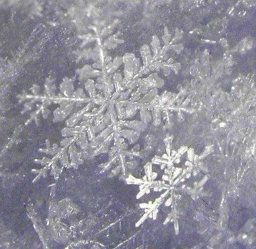 a snowflake is seen in this black and white photo from the top down