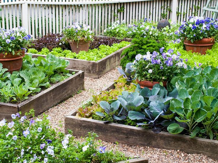 a garden filled with lots of different types of plants