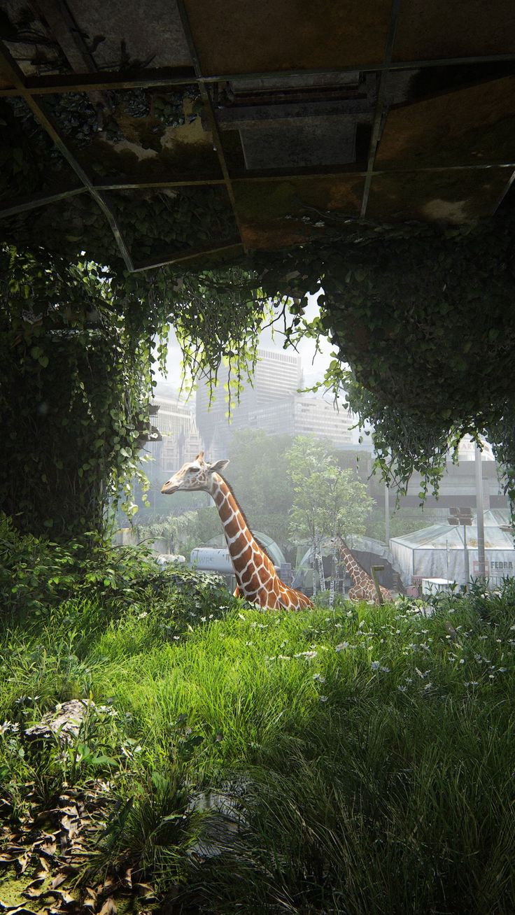 a giraffe standing in the middle of a lush green field