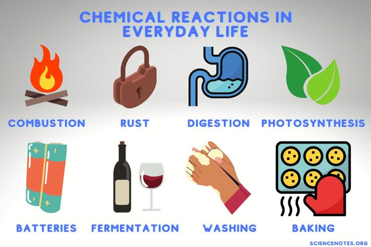 the different types of chemical reactions in everyday life, including water, baking, and wine