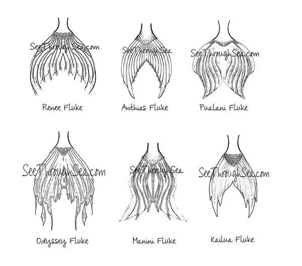 the different types of flowers that are in each flower arrangement, and how to draw them