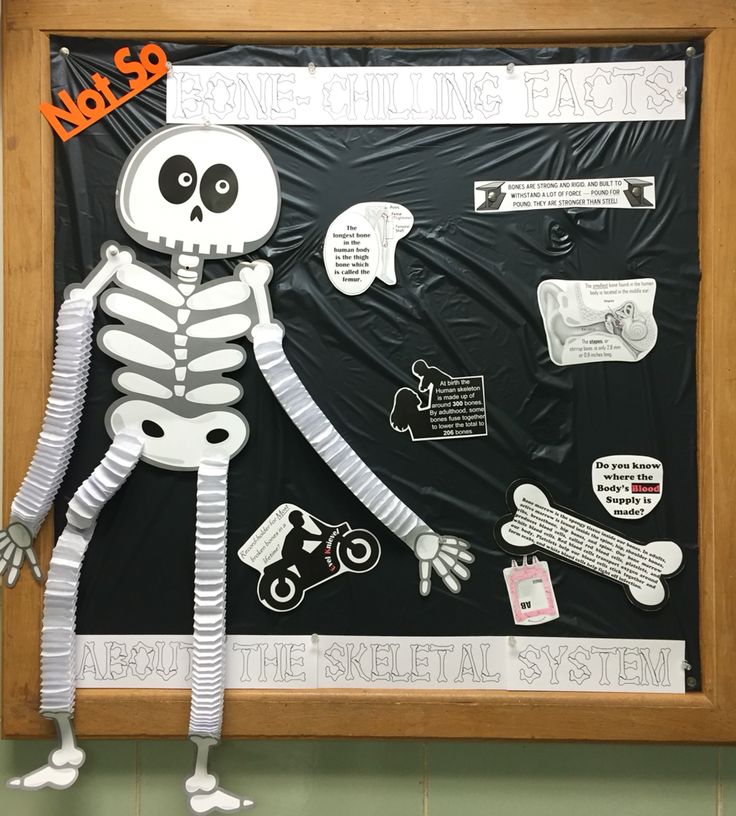 a skeleton is standing in front of a bulletin board