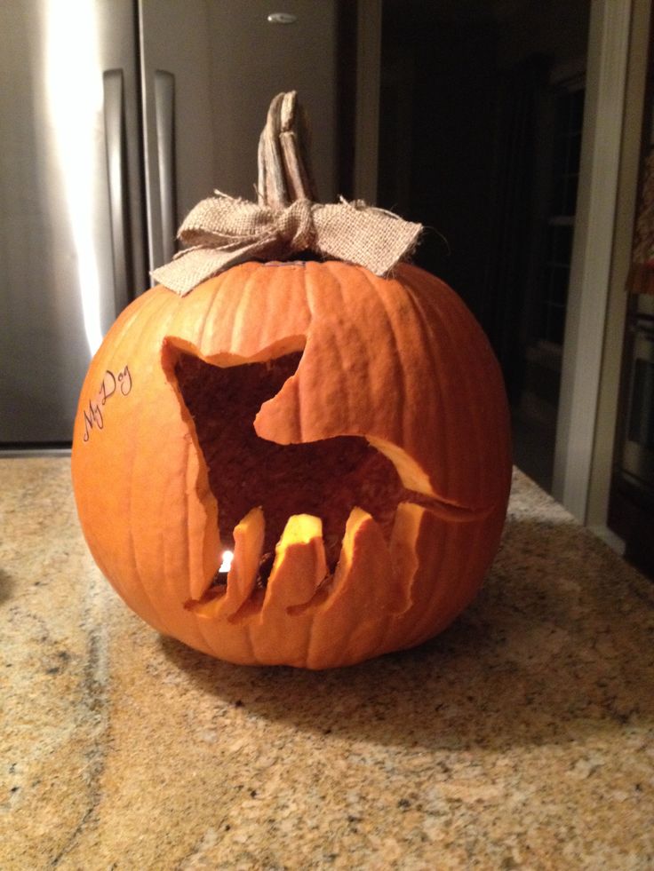 a carved pumpkin with a dog on it