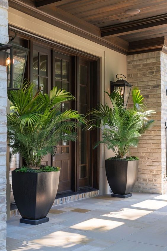 two large potted plants on the front porch