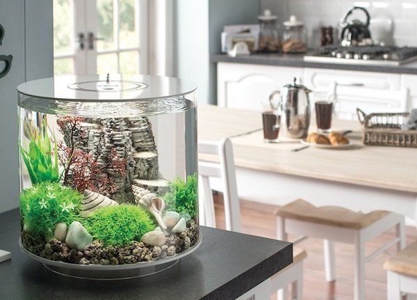 a fish tank filled with plants and rocks on top of a table next to a laptop