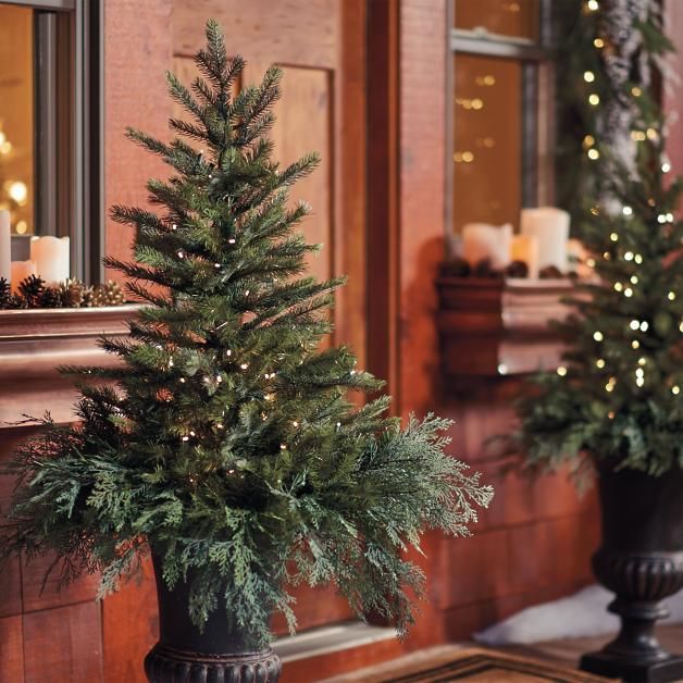 two potted christmas trees sitting next to each other in front of a fireplace mantel