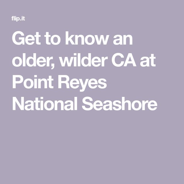 the words get to know an older, wilder ca at point ryes national seashore