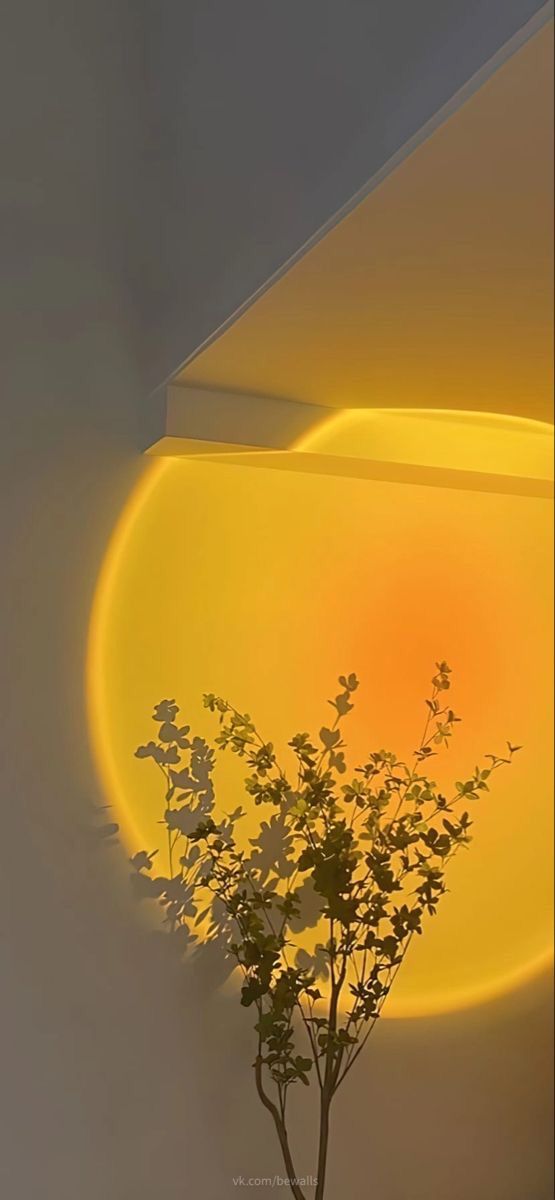 a vase filled with flowers sitting on top of a table next to a yellow light