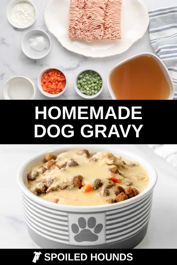 homemade dog gravy recipe in a bowl with ingredients to make it on the side