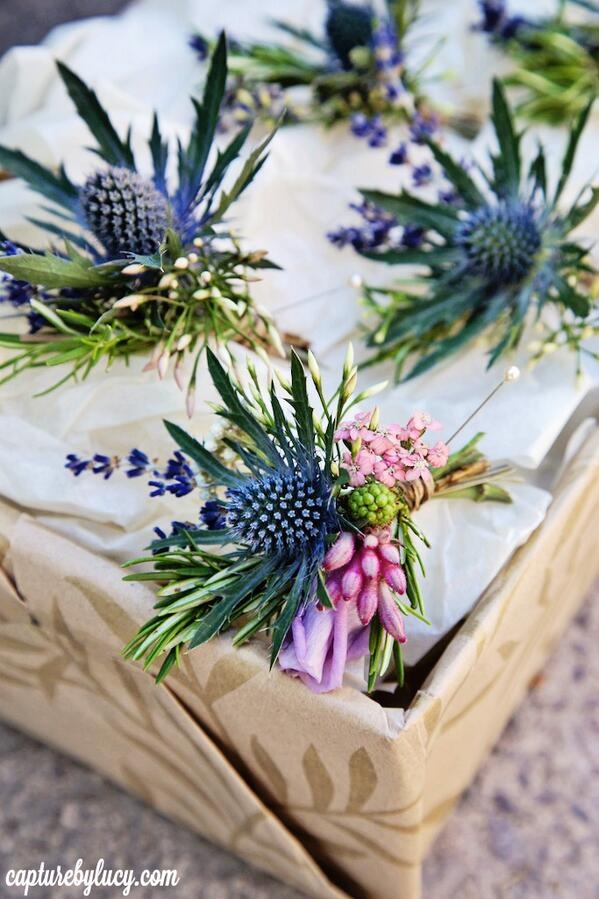 some flowers are sitting in a box on the ground and ready to be put into something