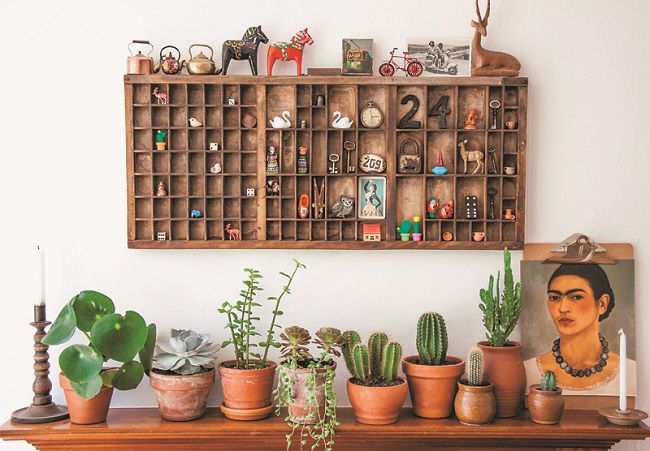 there are many potted plants on the shelf in front of this wall mounted photo