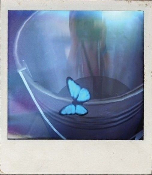 a blue butterfly sitting on top of a metal bowl