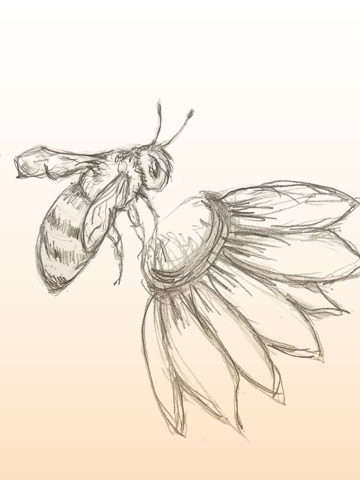 a drawing of a bee sitting on top of a flower next to an insect's wing