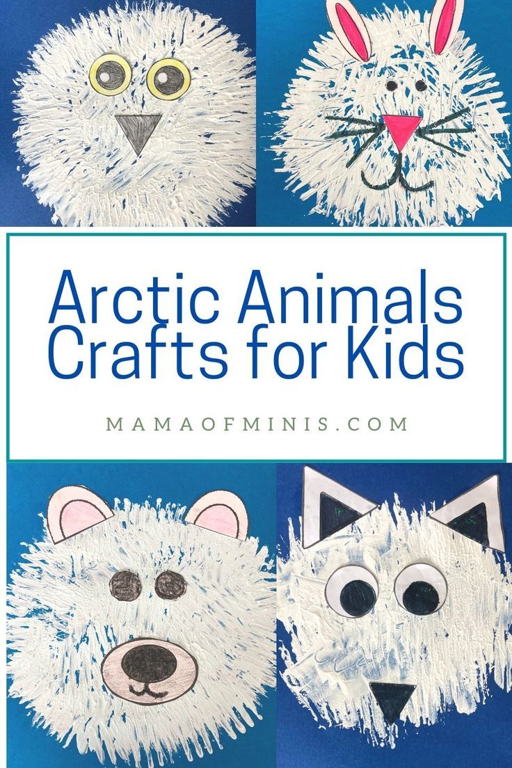 Arctic Animals Crafts for Kids Attic Animals Preschool Activities, Artic Animal Lessons For Preschool, Attic Animals, Arctic Animal Crafts, Owl Crafts Preschool, Arctic Animals Preschool Activities, Arctic Fox Art, Winter Animals Preschool, Owl Preschool