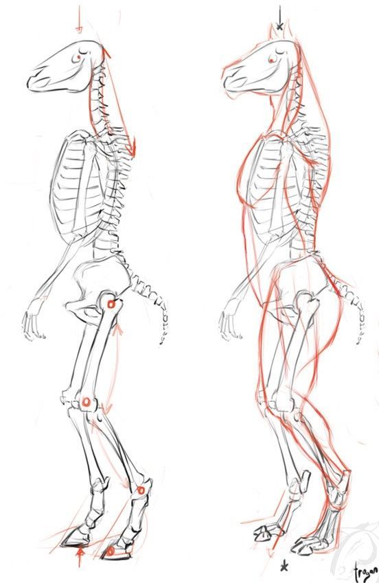 three different views of the same human body