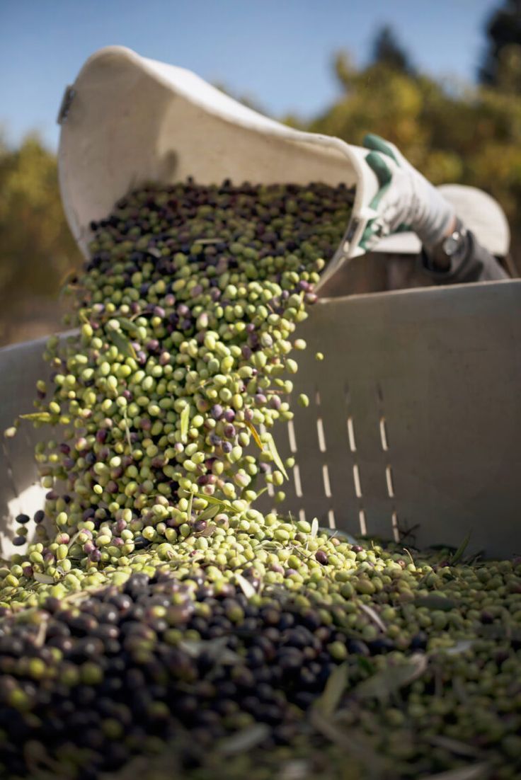 a bucket filled with lots of green and black olives next to a pile of white bags