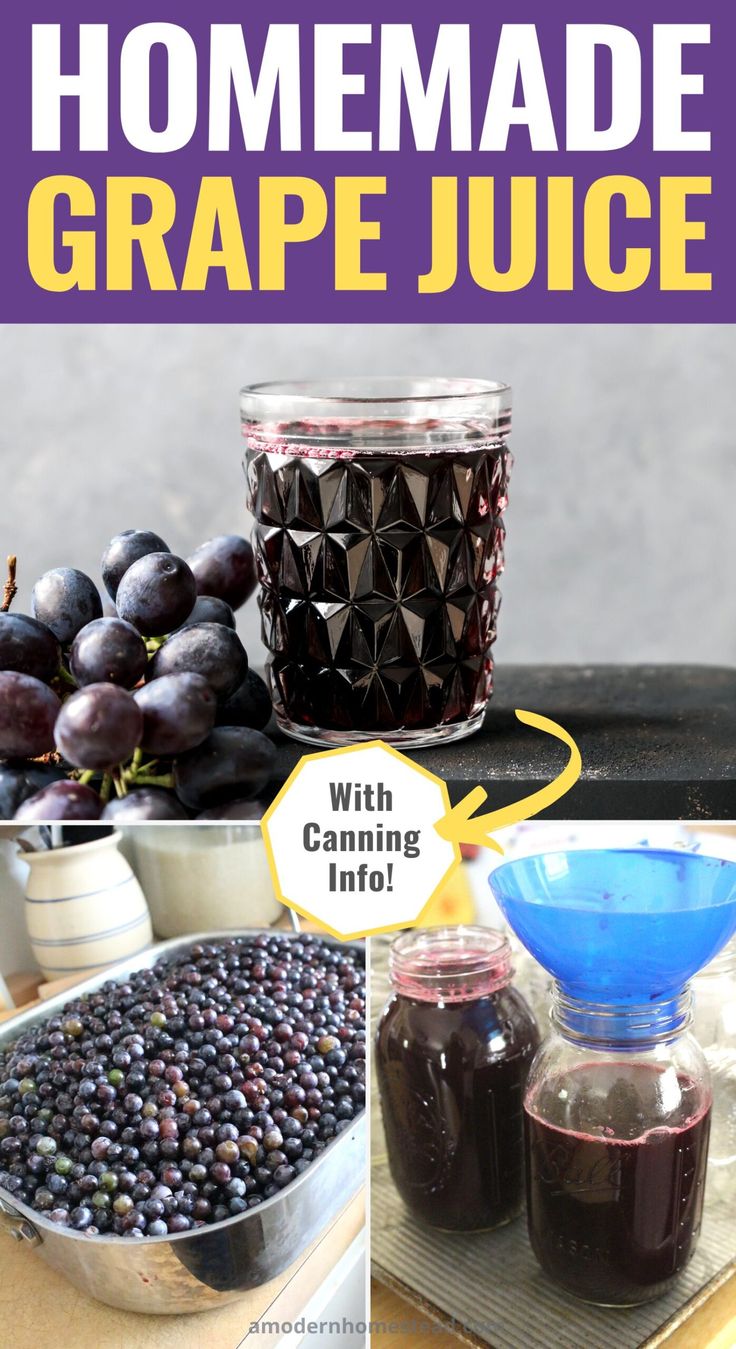 homemade grape juice with blueberries and grapes in the bottom left hand corner is shown