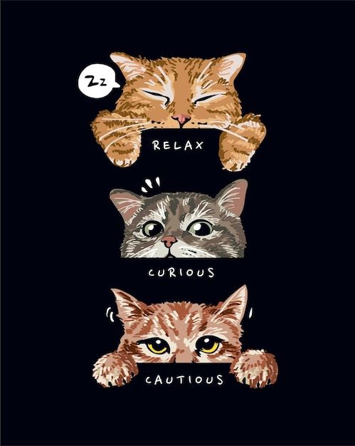 three cats with different facial expressions and the words relax, corrous, caution