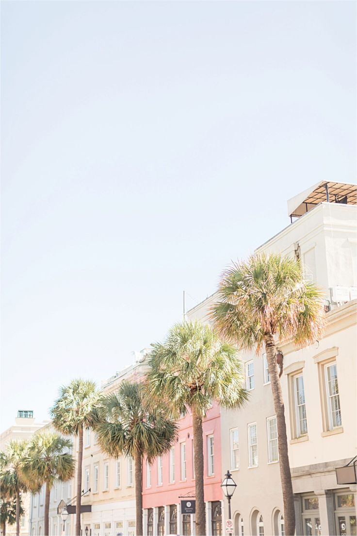 palm trees line the street in front of buildings